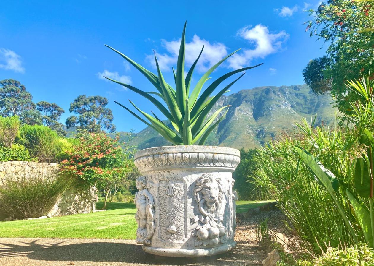The Guardian Hermanus Luxury Self-Catering Hemel En Aarde Valley Экстерьер фото