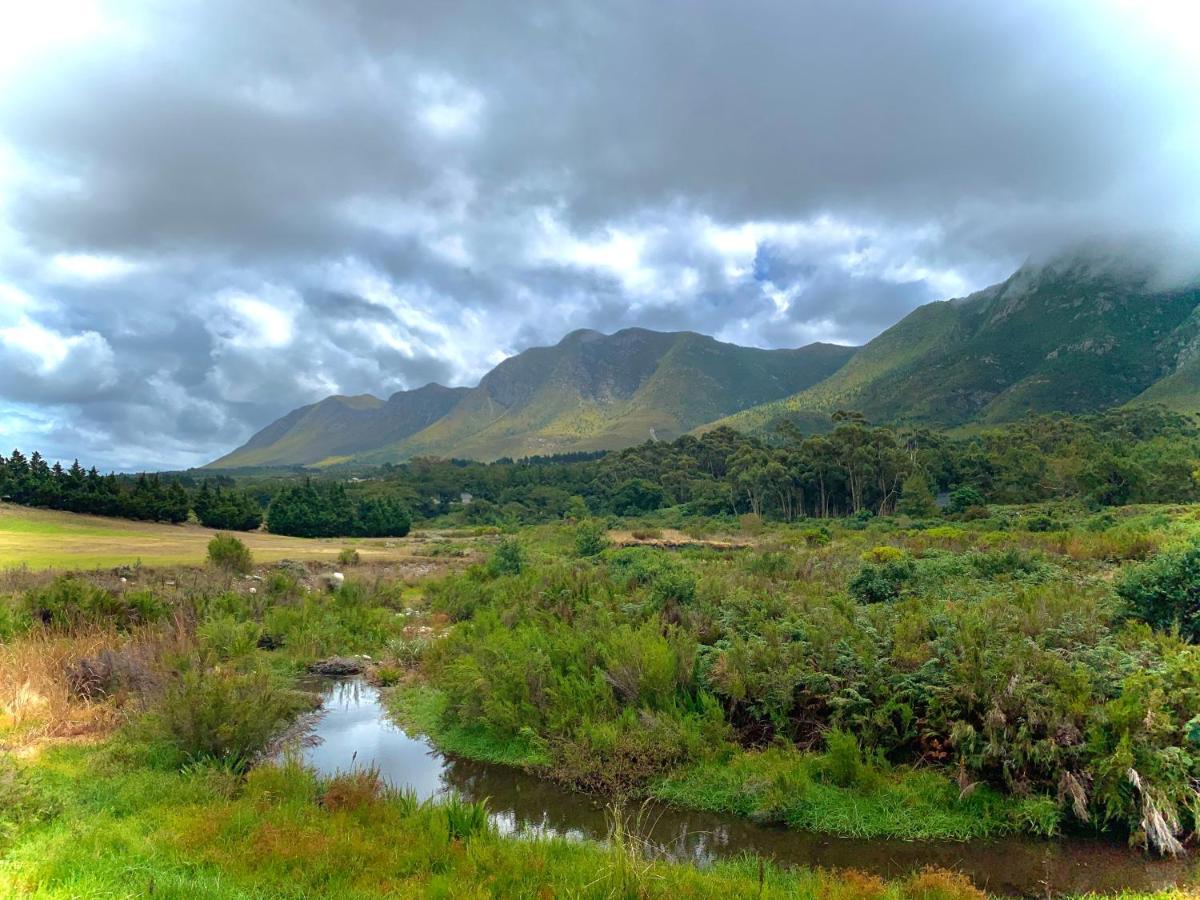 Апартаменты The Guardian Hermanus Luxury Self-Catering Hemel En Aarde Valley Экстерьер фото